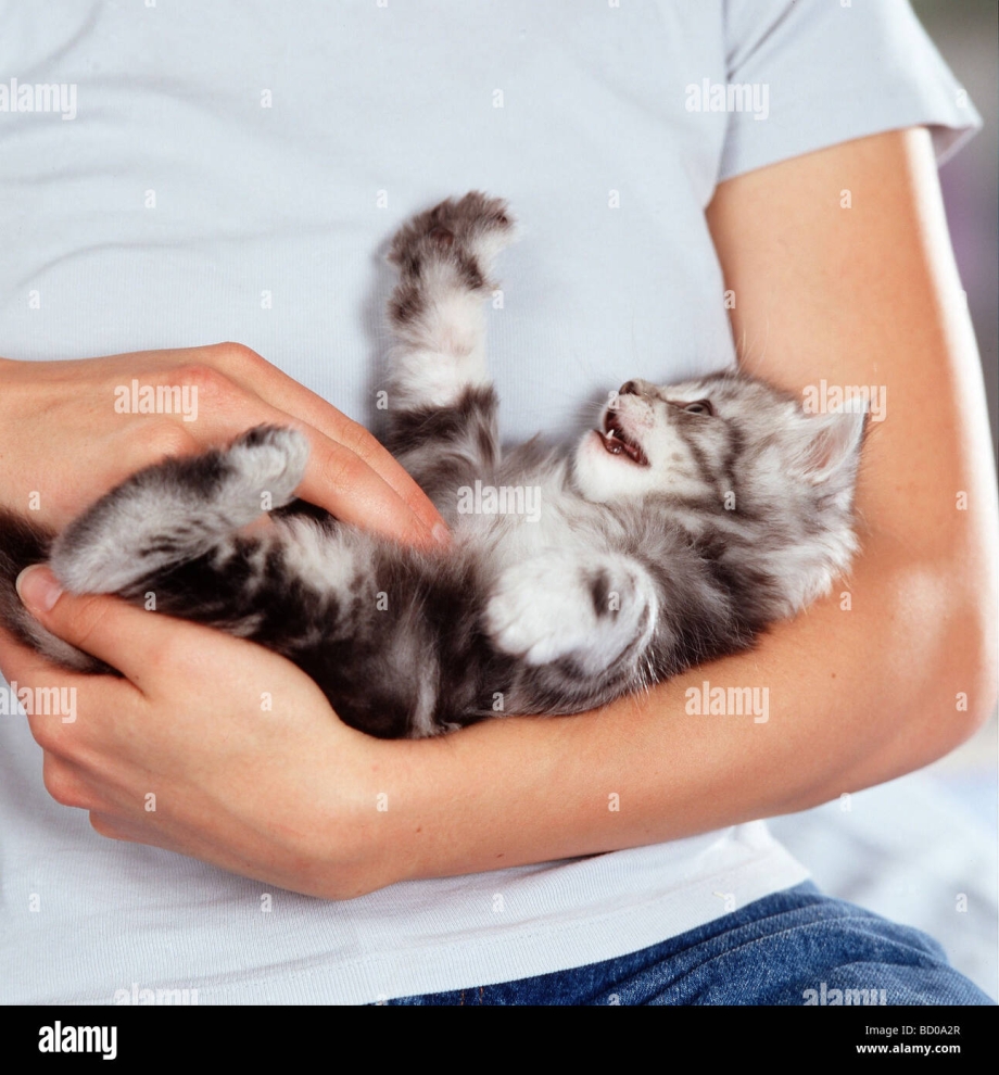Беременная с котом