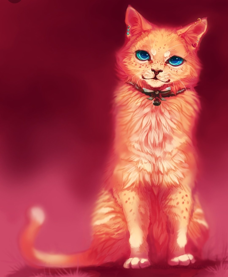 Коты Воители рыжая кошка