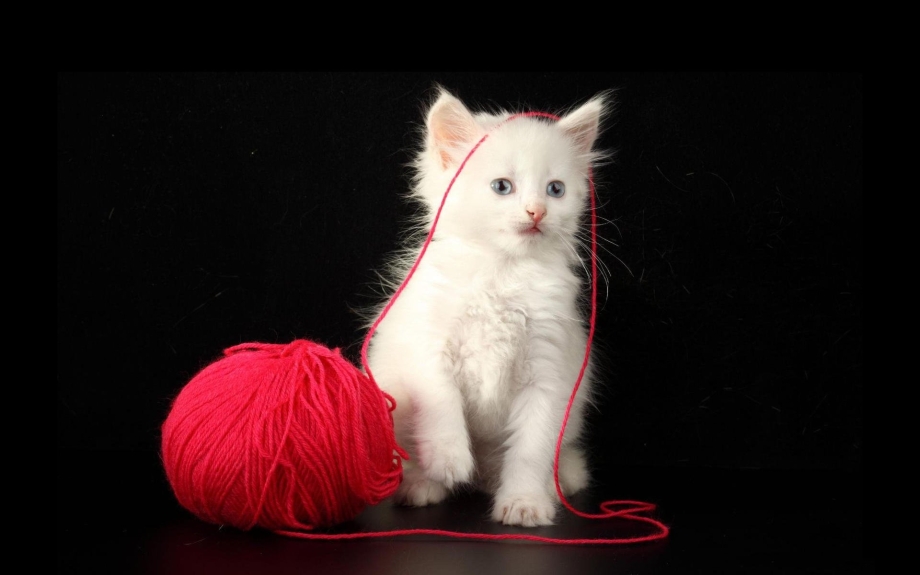 Котенок и клубок ниток