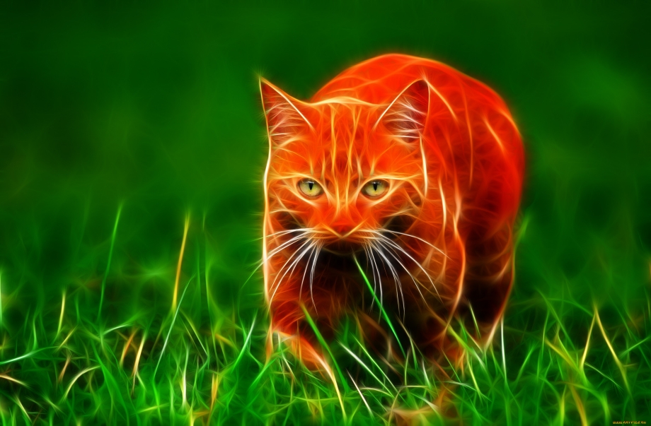 Кошка компьютерная Графика