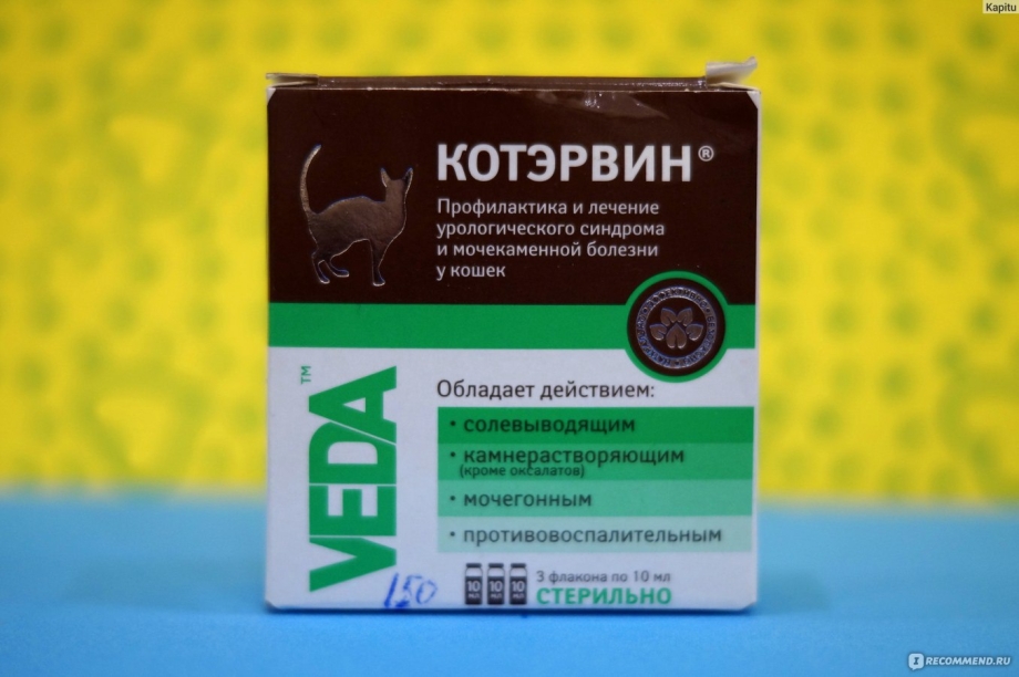 Лекарство от мочекаменной болезни у котов антибиотик