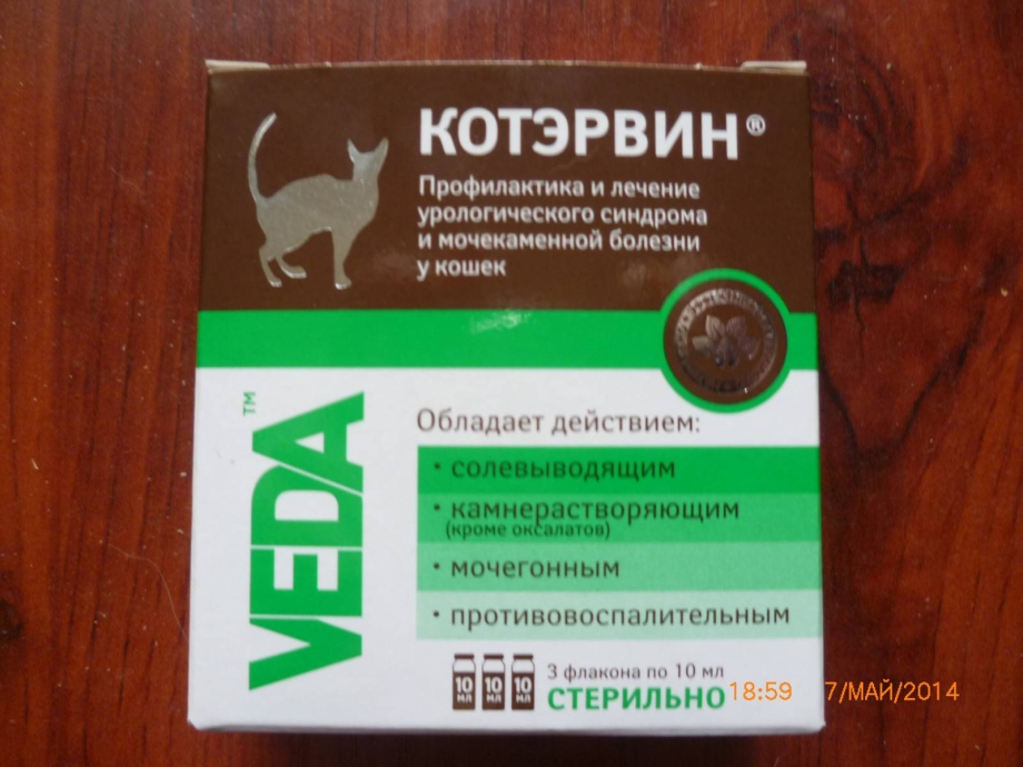 Мочекаменная болезнь у кота