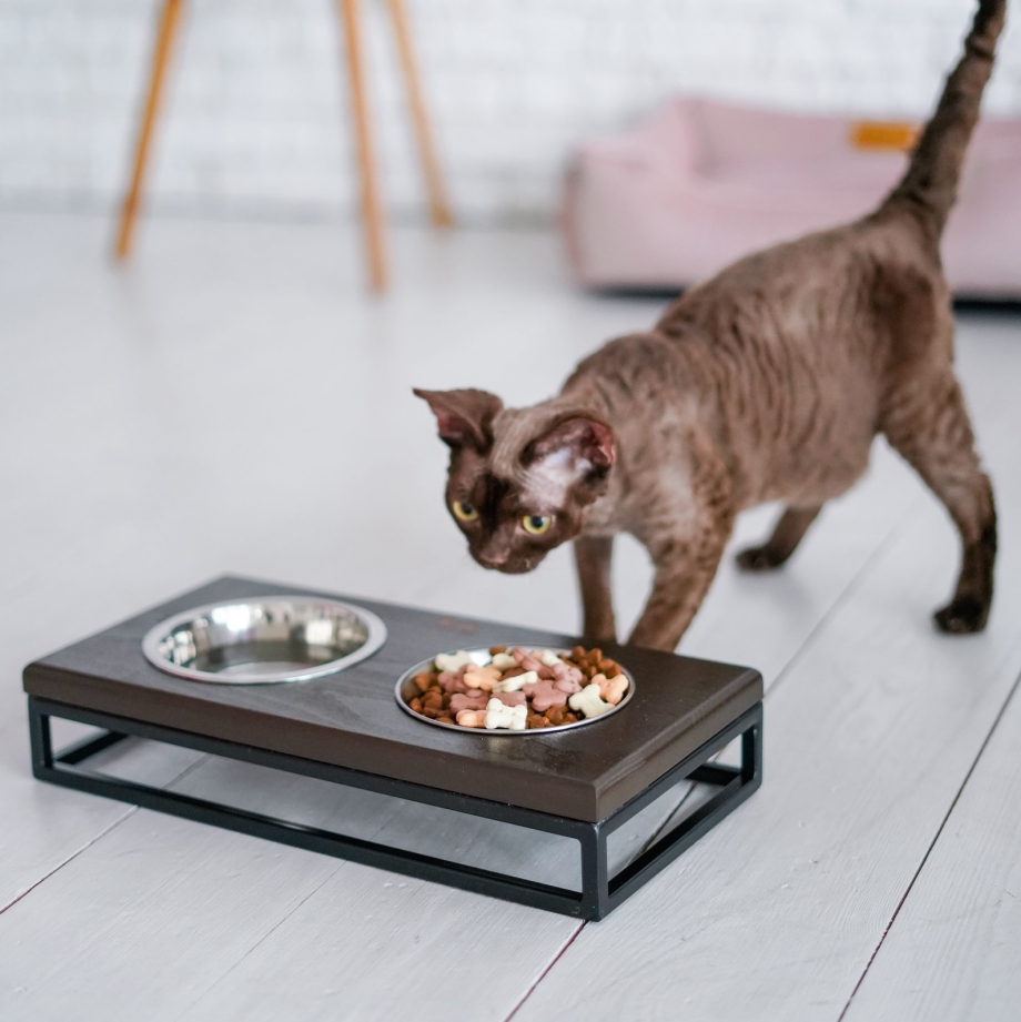 Миски для котов
