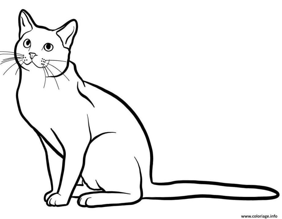 Голубая кошка раскраска