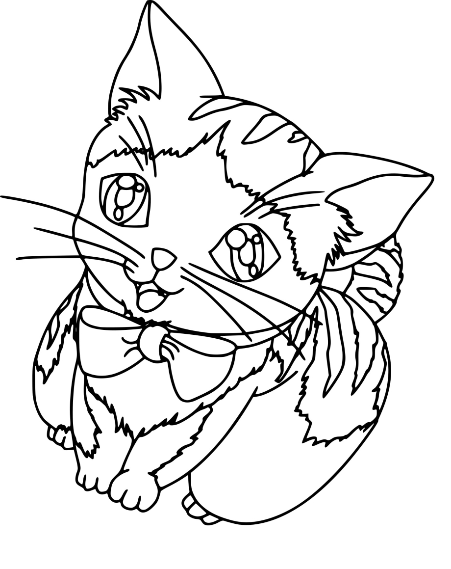 Кошка раскраска красивая