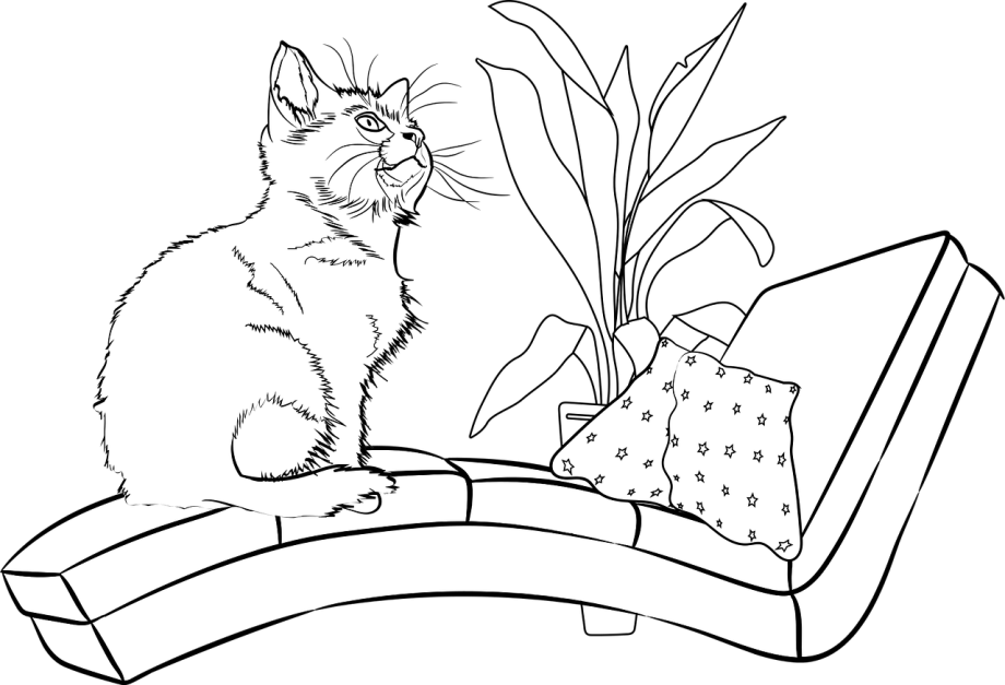 Кот лежит раскраска