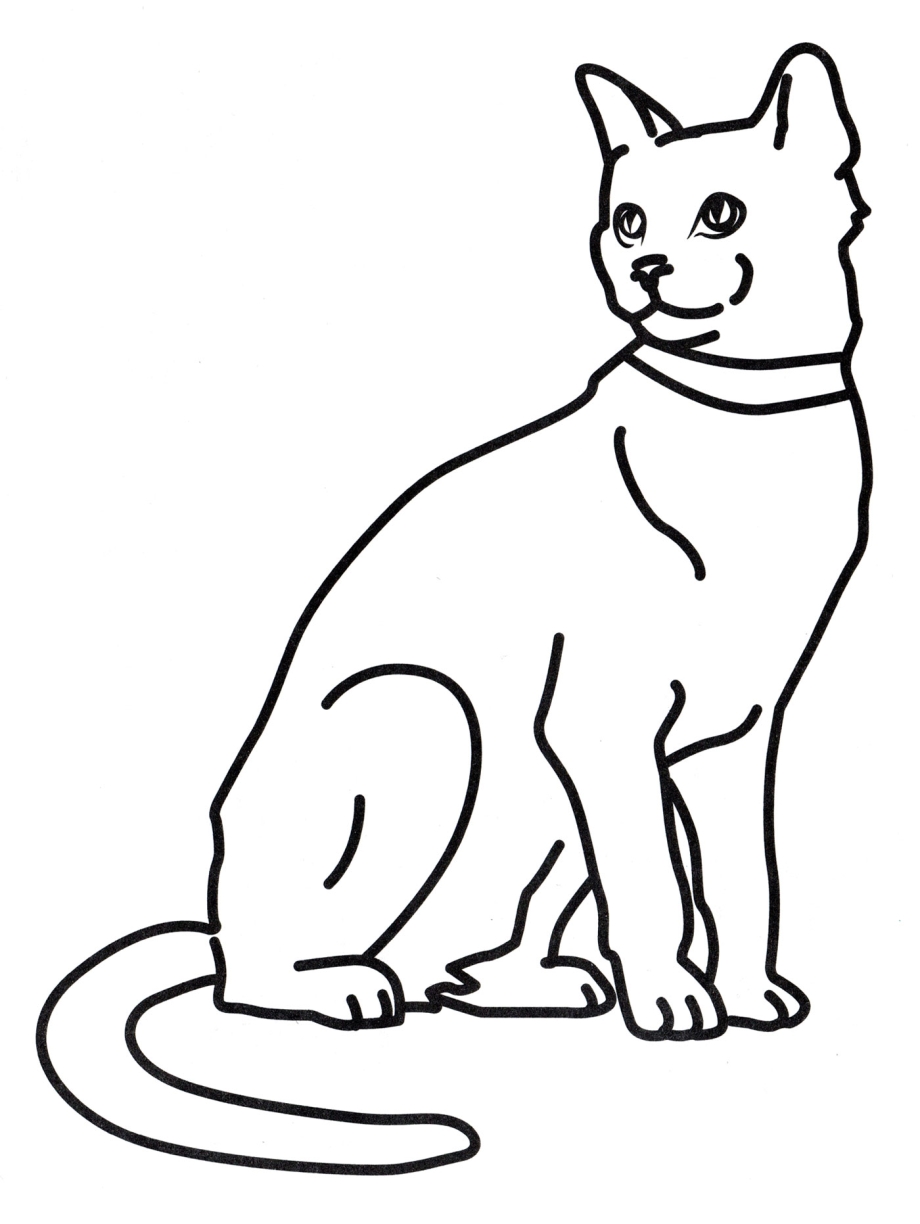 Кошка сидит раскраска