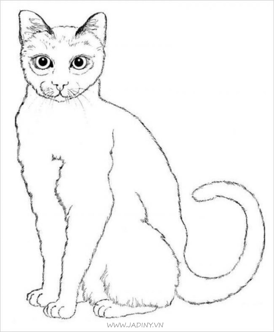 Раскраска вислоухий котёнок