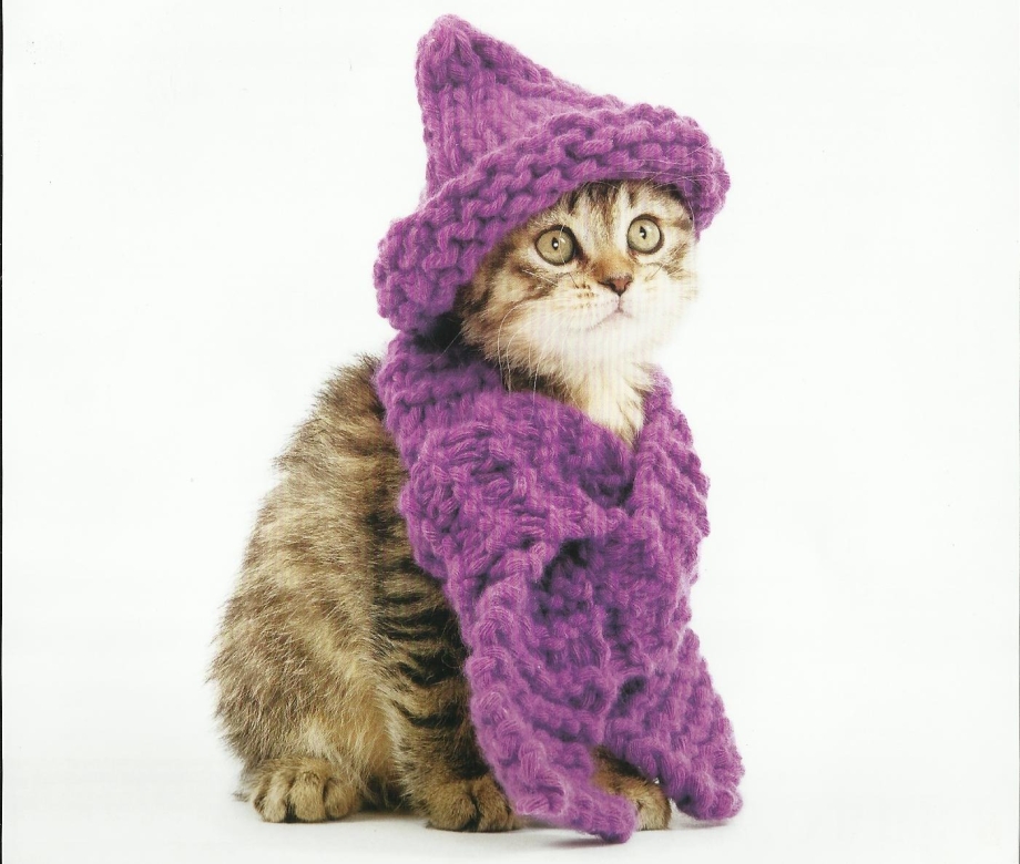 Фиолетовая кошка
