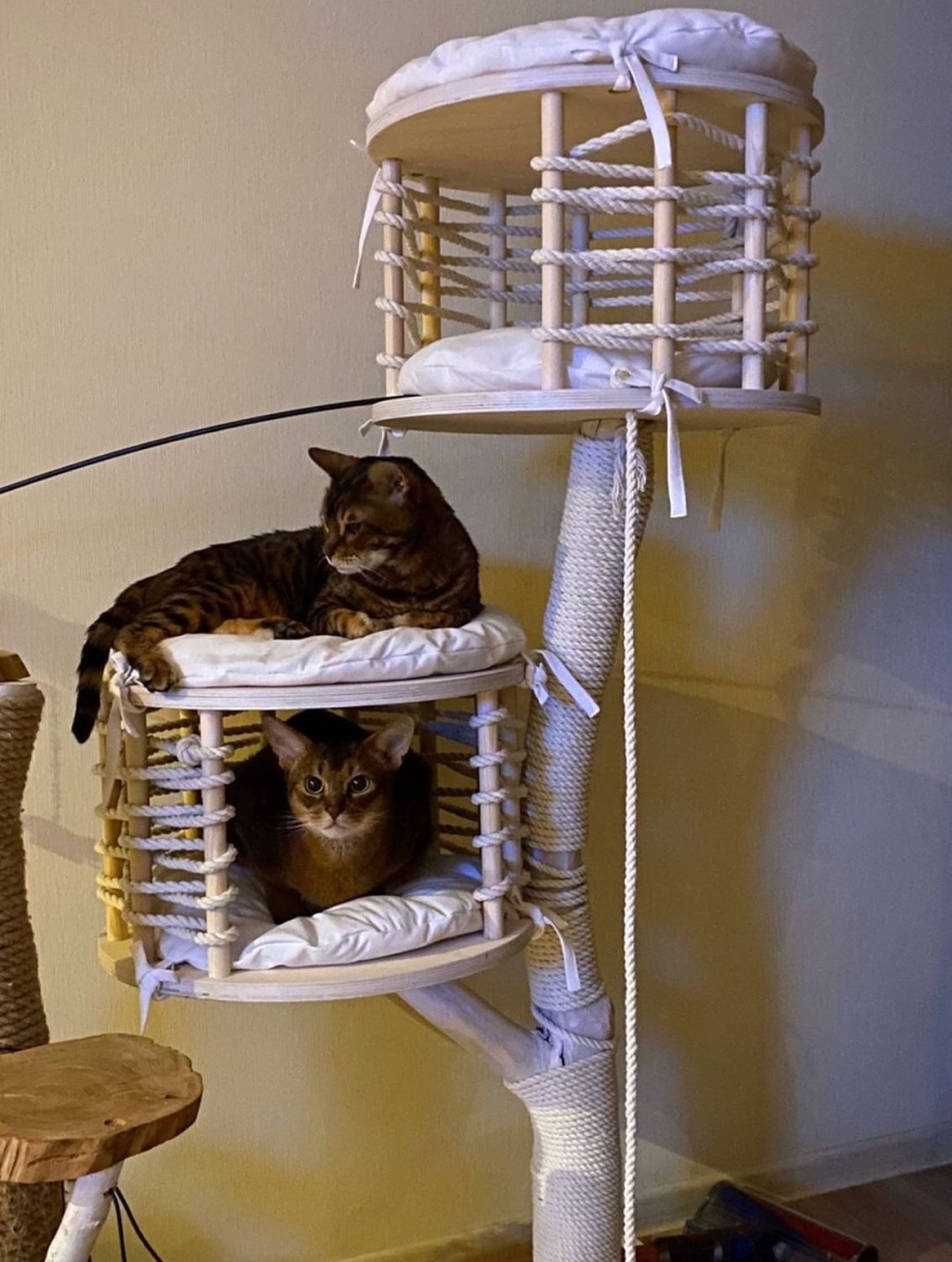 Catwood для кошек