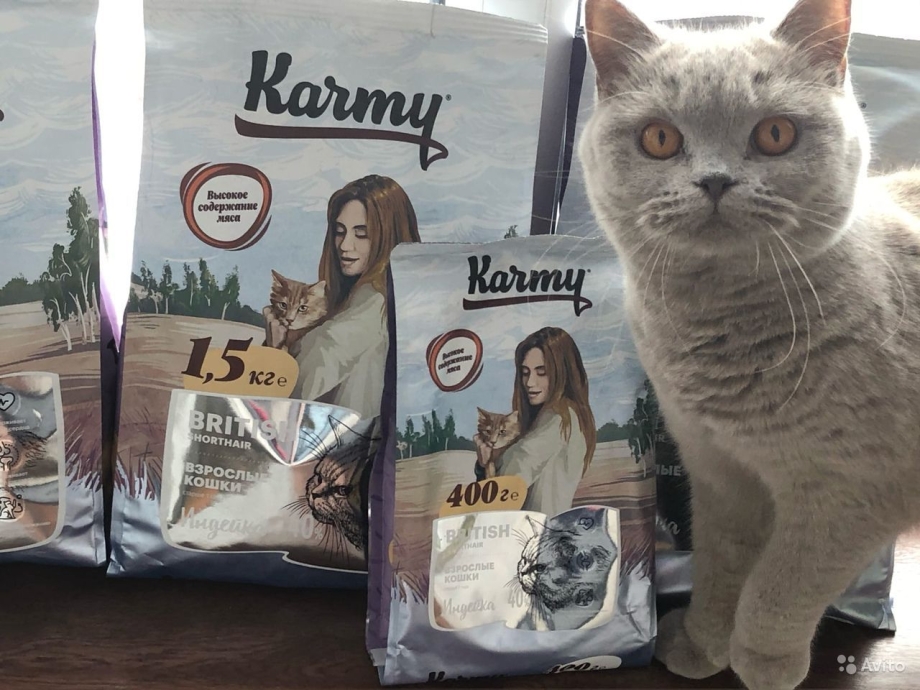 Сухой корм для кошек Карми