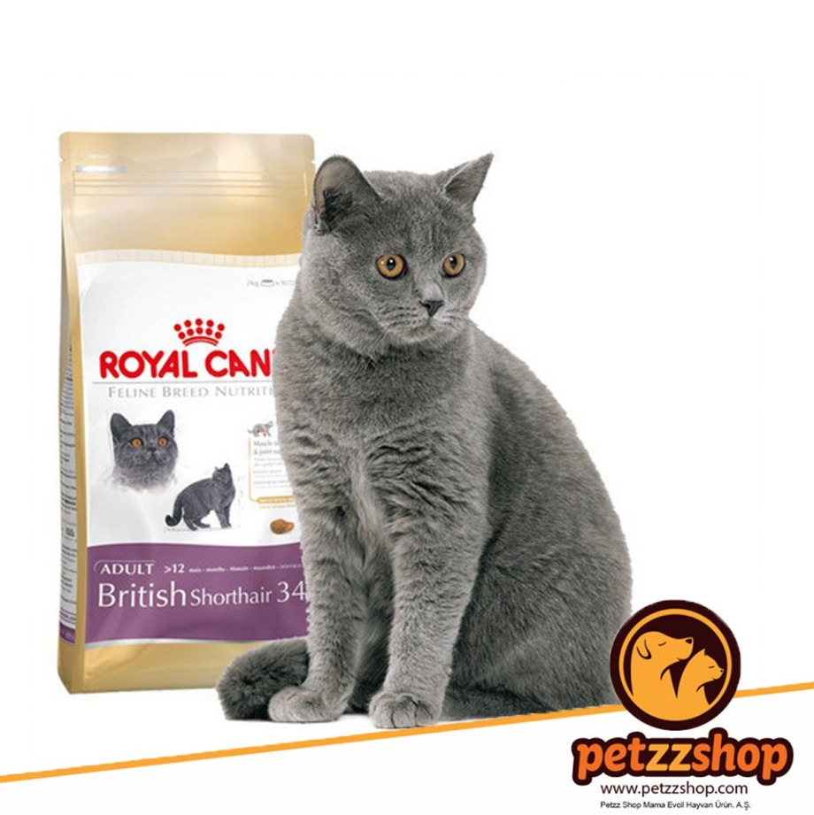 Royal Canin для кошек реклама британец
