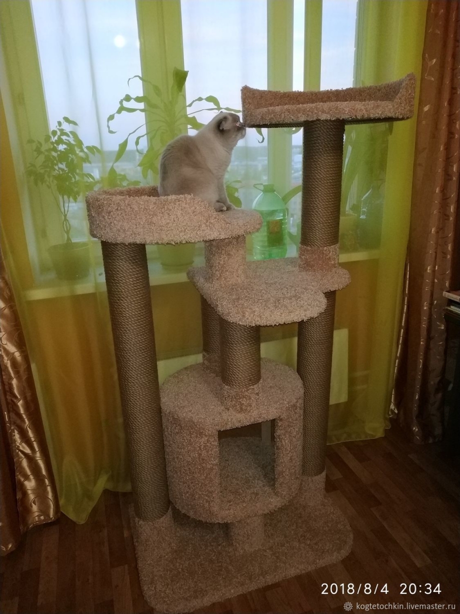 Когтеточка для Мейн кунов