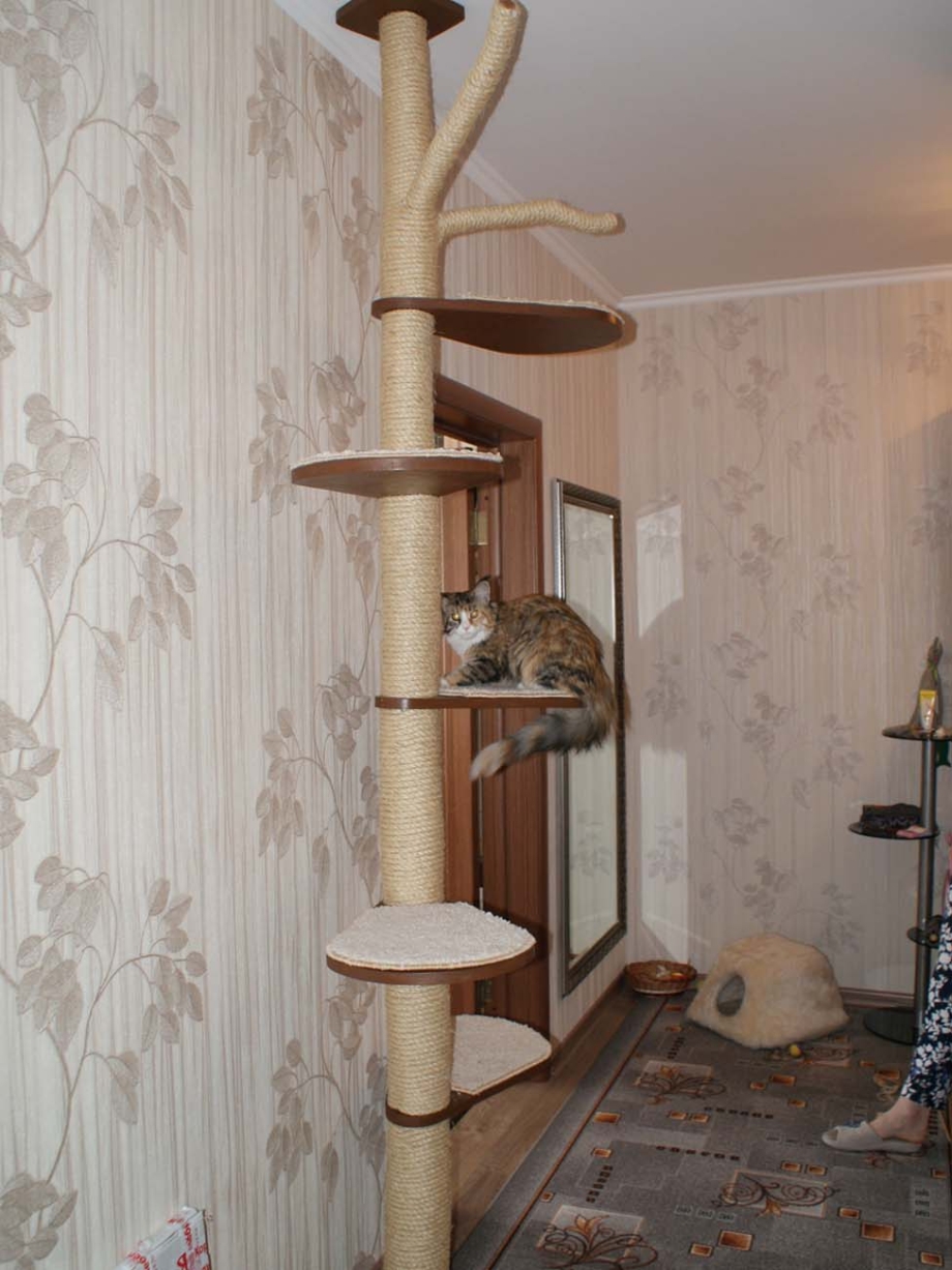 Кошкин дом для Мейн куна