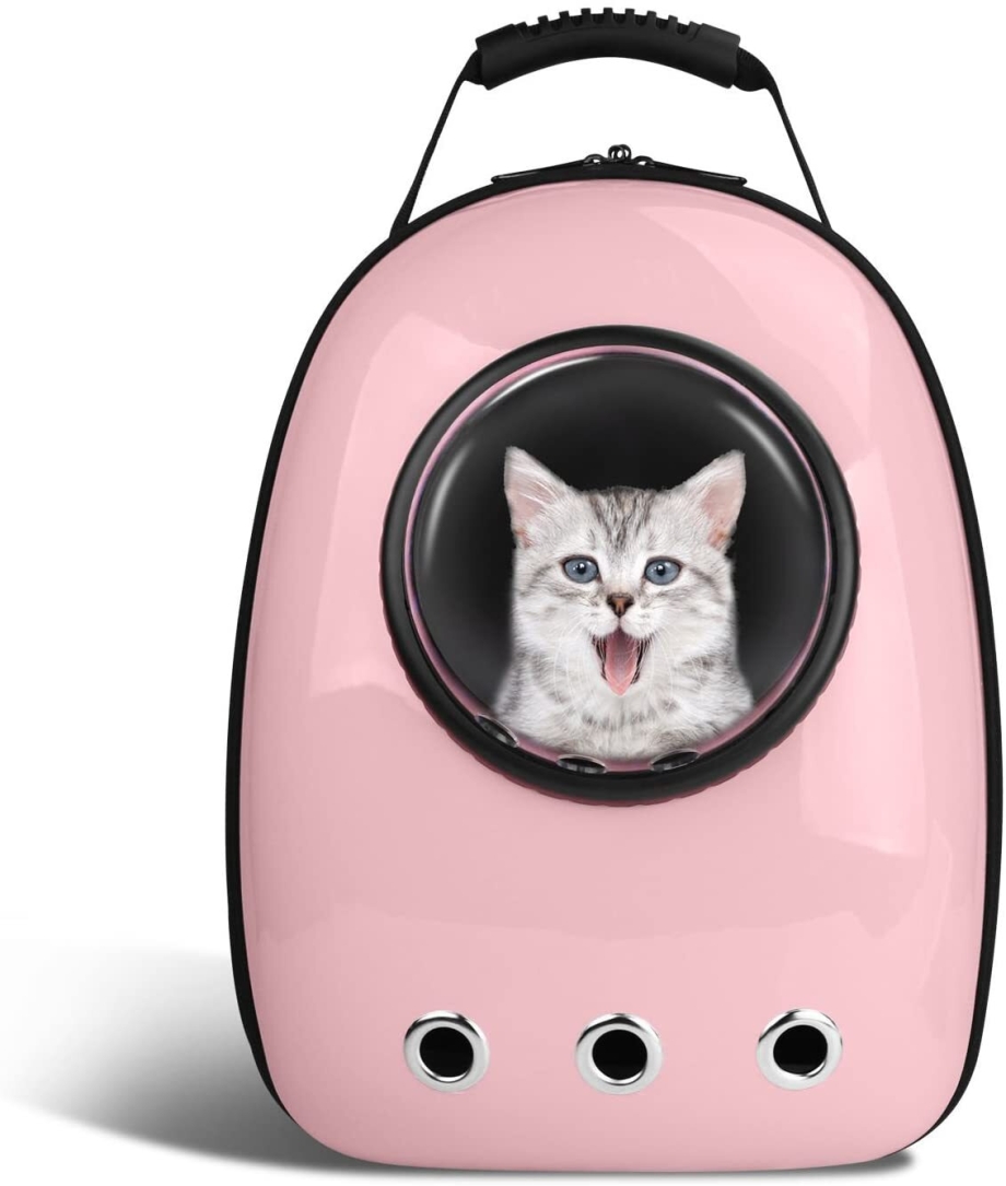 Кошка в переноске