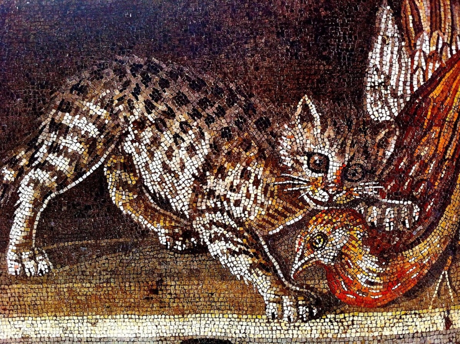 Мозаика. Кошка