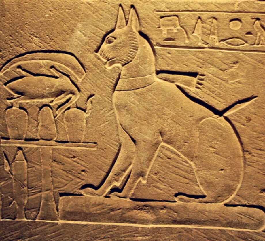Кошки на египетских фресках