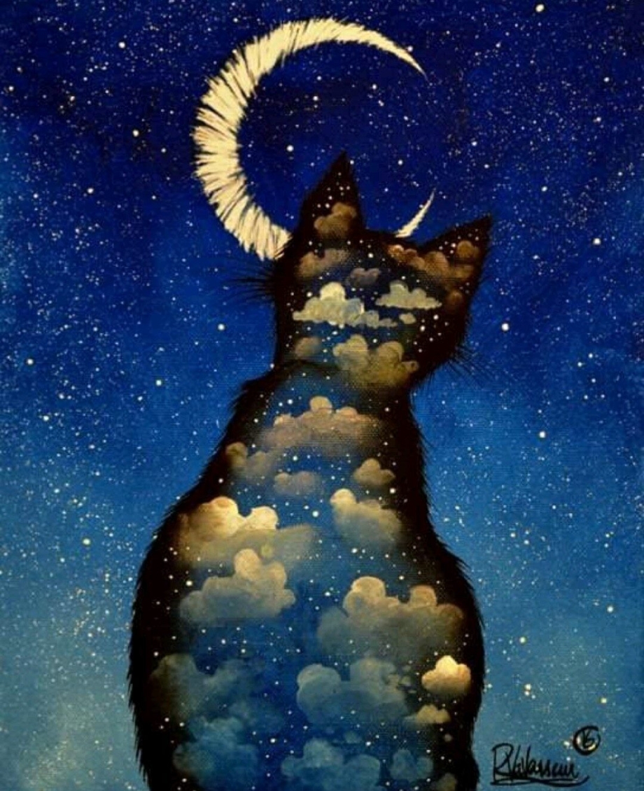 Лунные коты