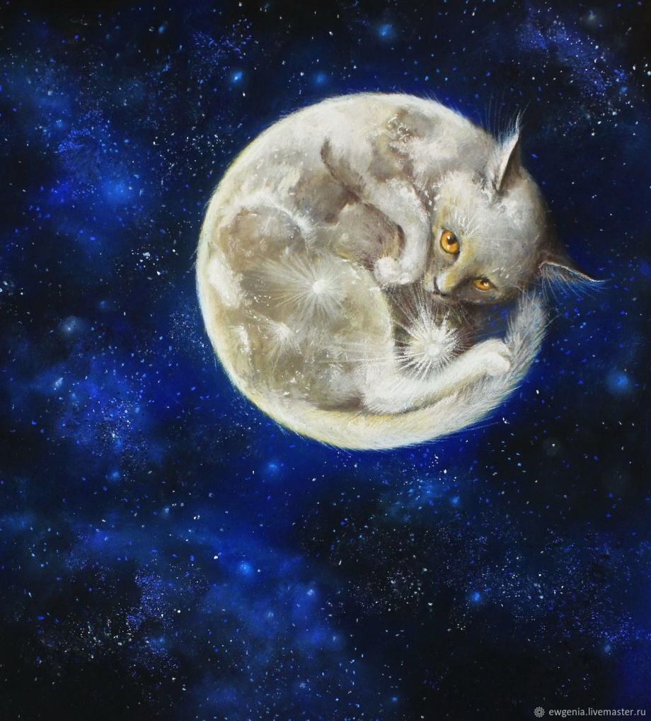 Лунные кошки