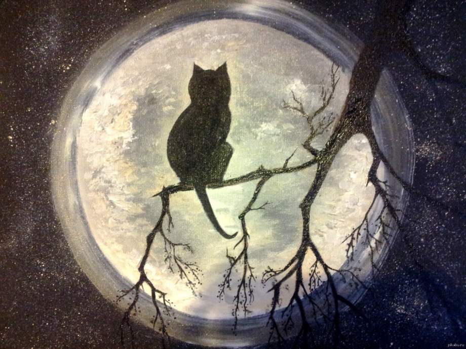 Кошка на фоне Луны