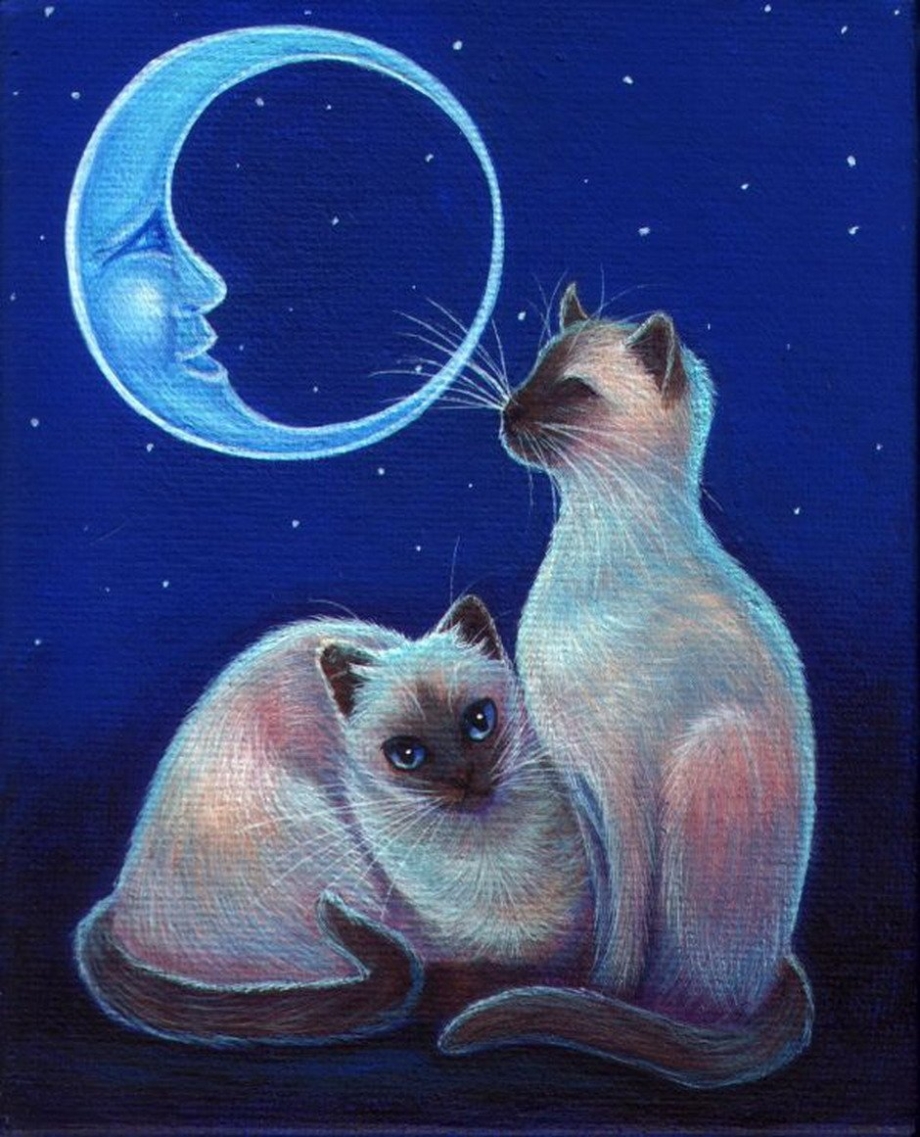 Лунные кошки