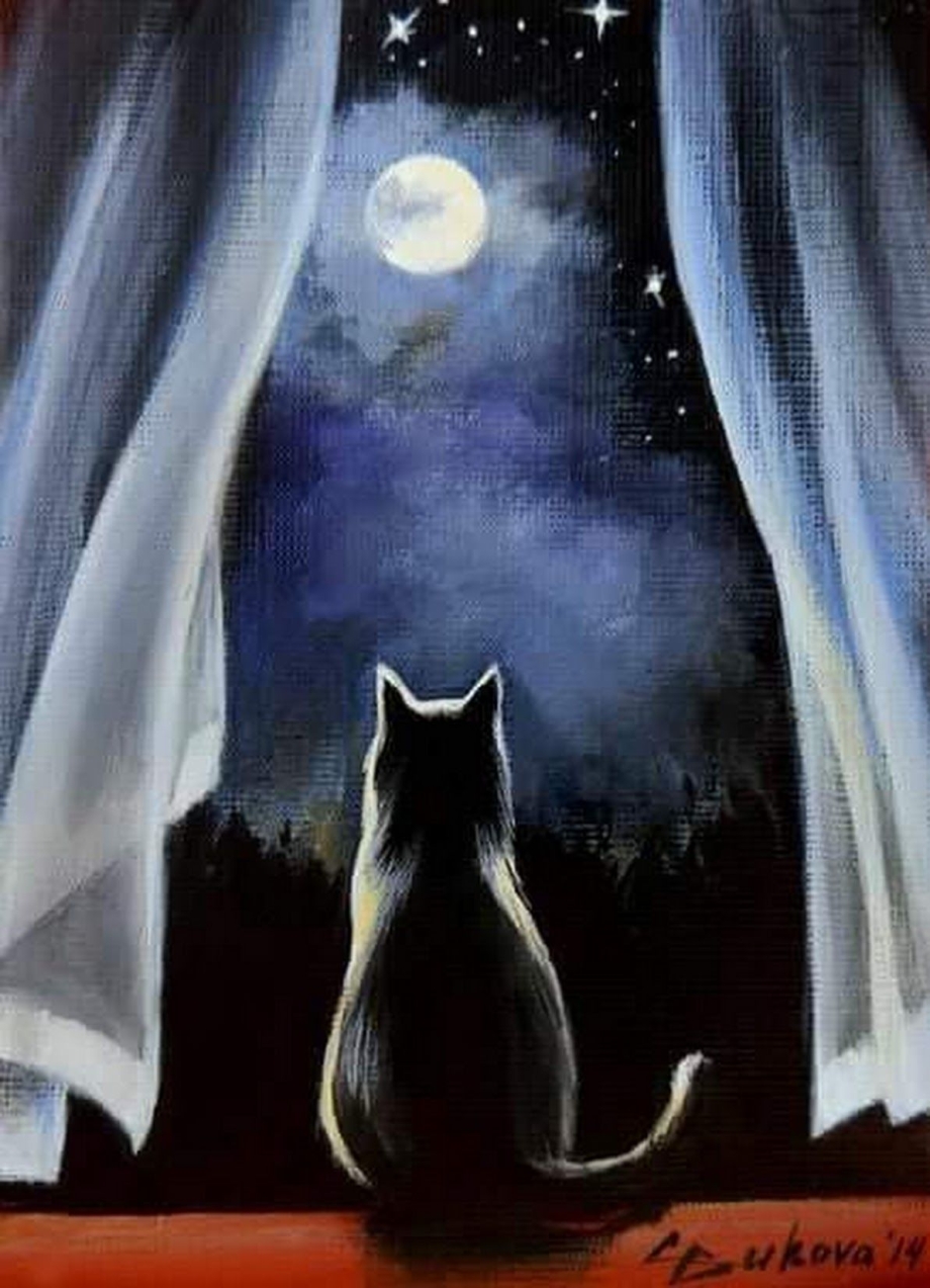 Кот и Луна живопись