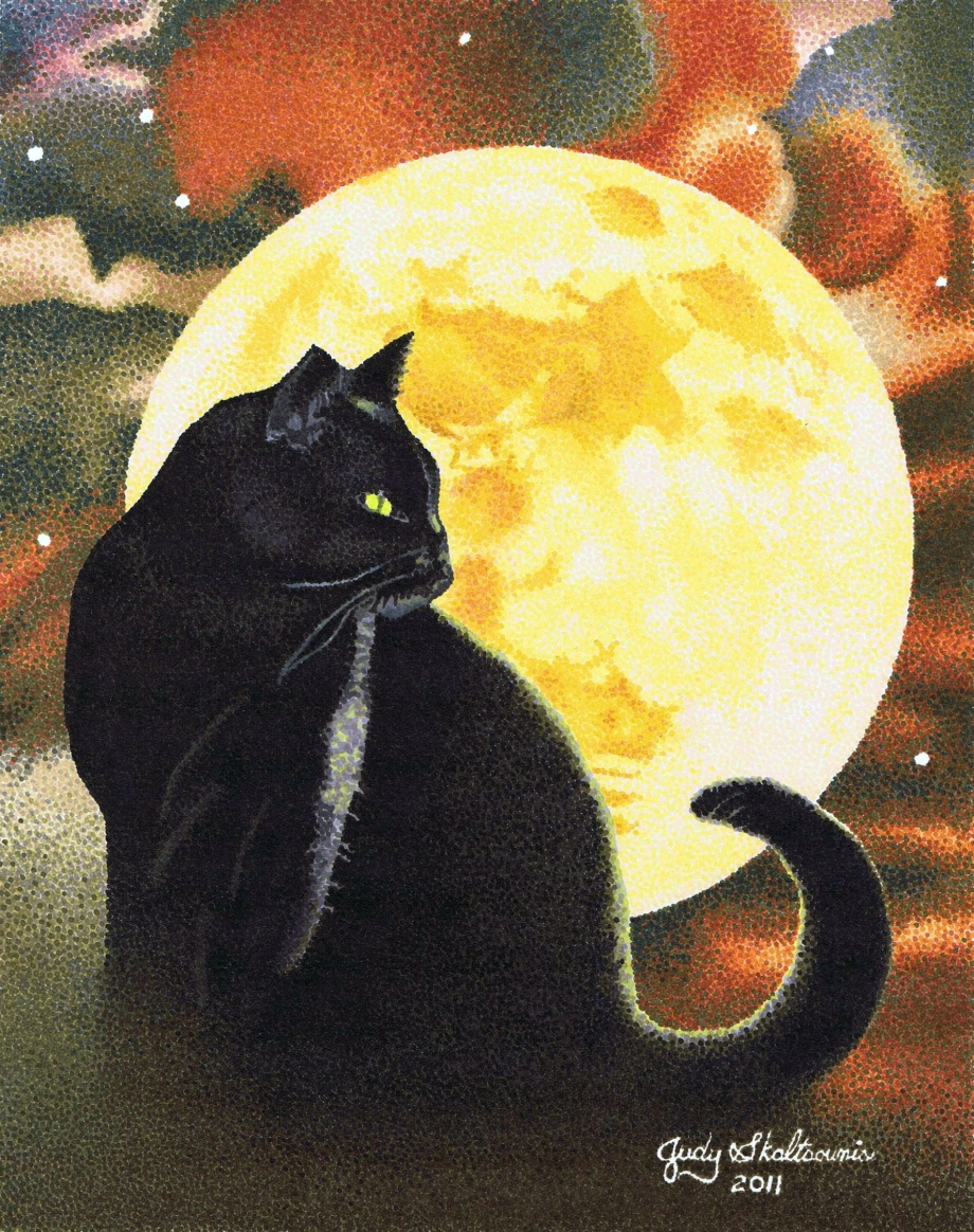 Кошка Луна
