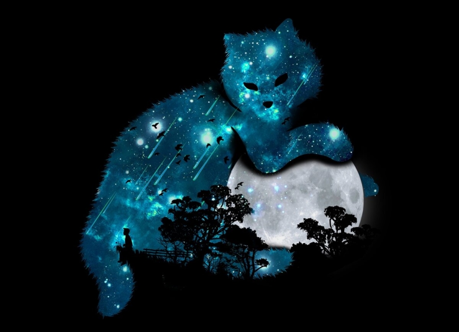 Кот ночь арт