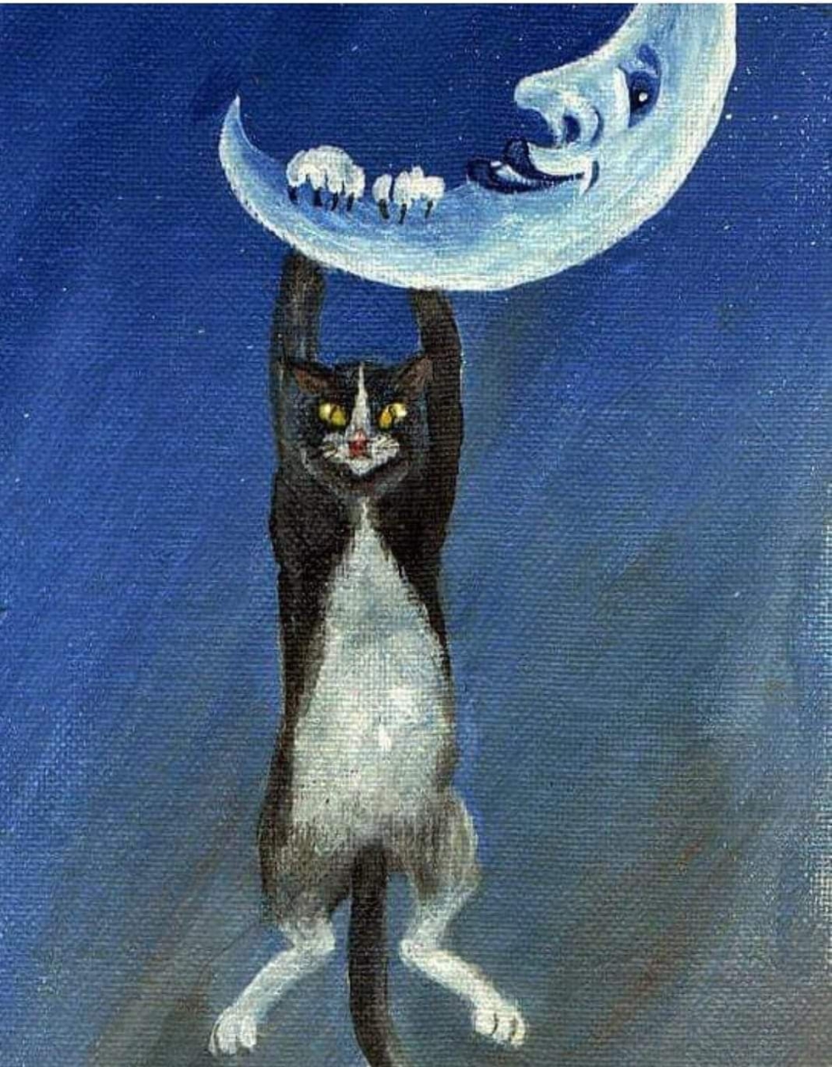 Лунный лунный лунный кот
