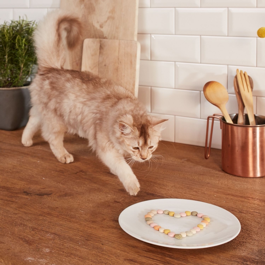 GIMCAT витамины для кошек с кошачьей мятой минттипс 200 г