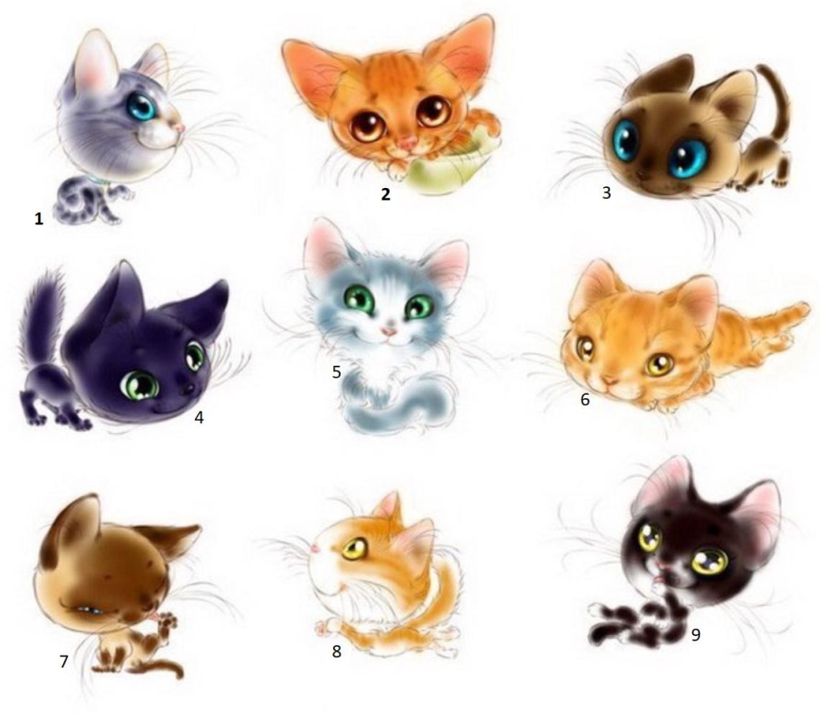 Рисунки милых котят