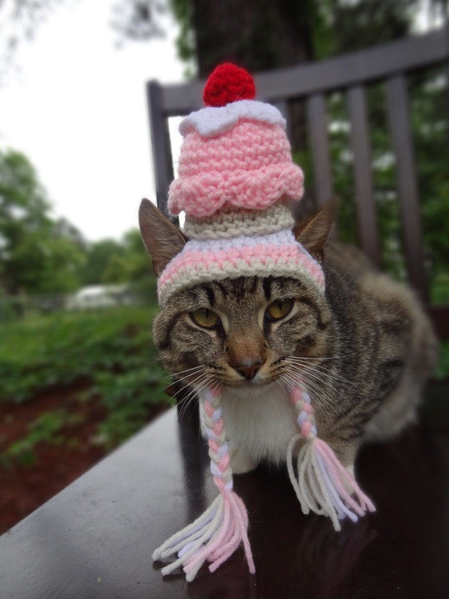 Вязаная шапка для кошки
