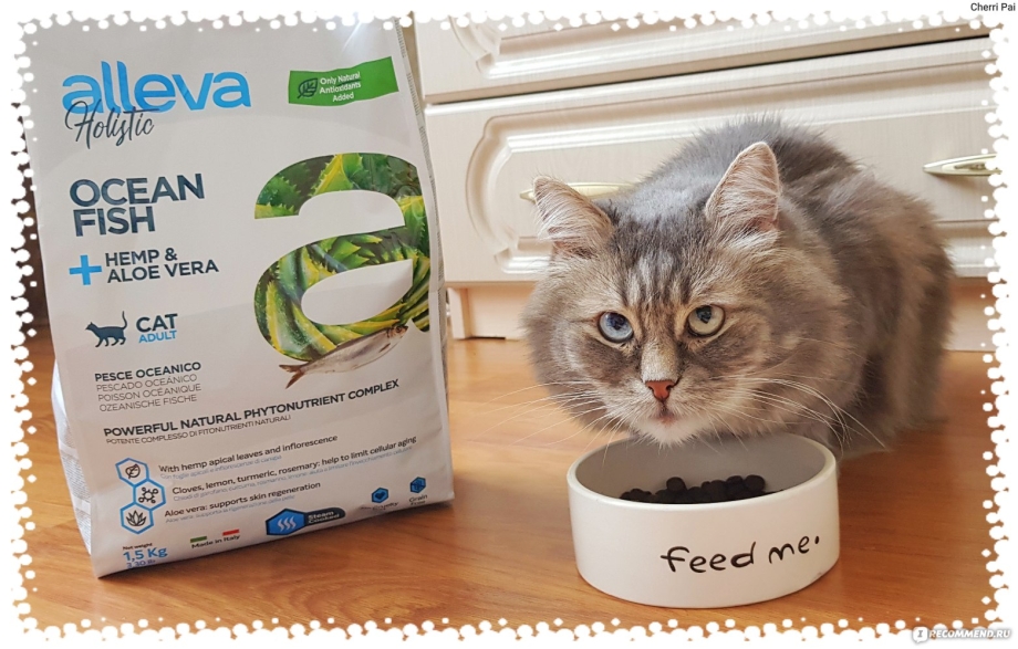Корма холистики
