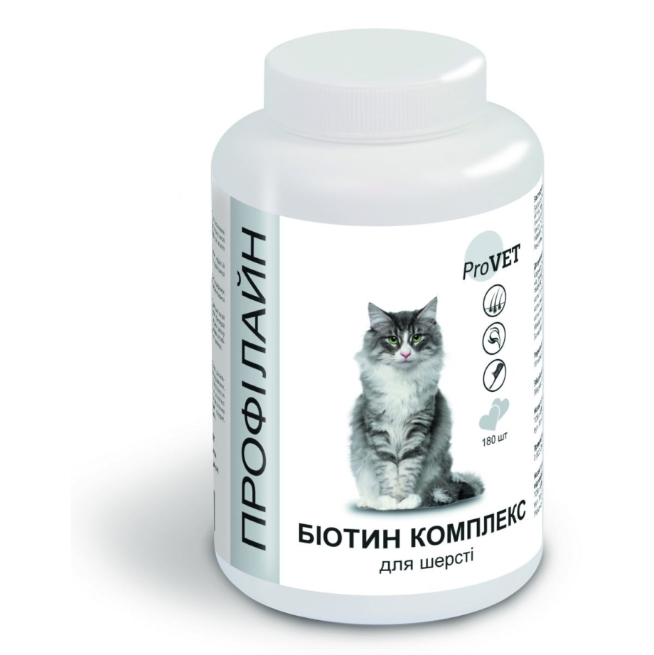 Голубокремовая кошка сфинкс