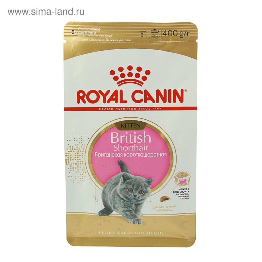 Royal Canin для котят Мейн-кун