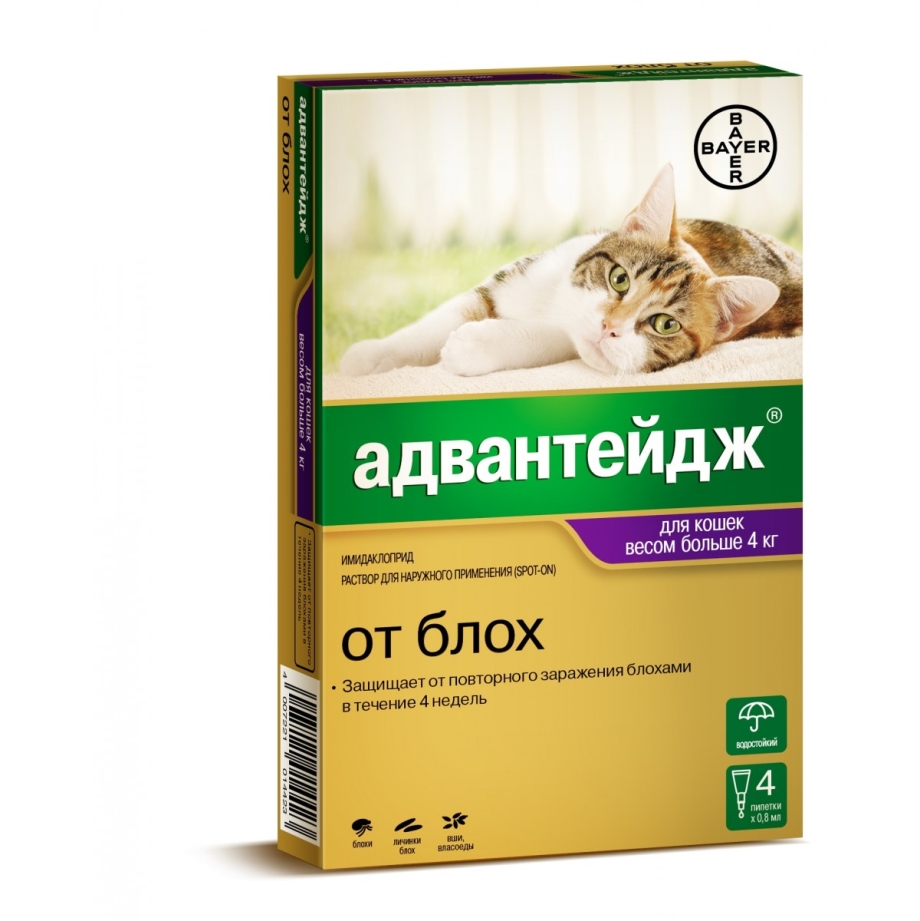 Адвантейдж 80 для кошек свыше 4 кг 1 пипетка