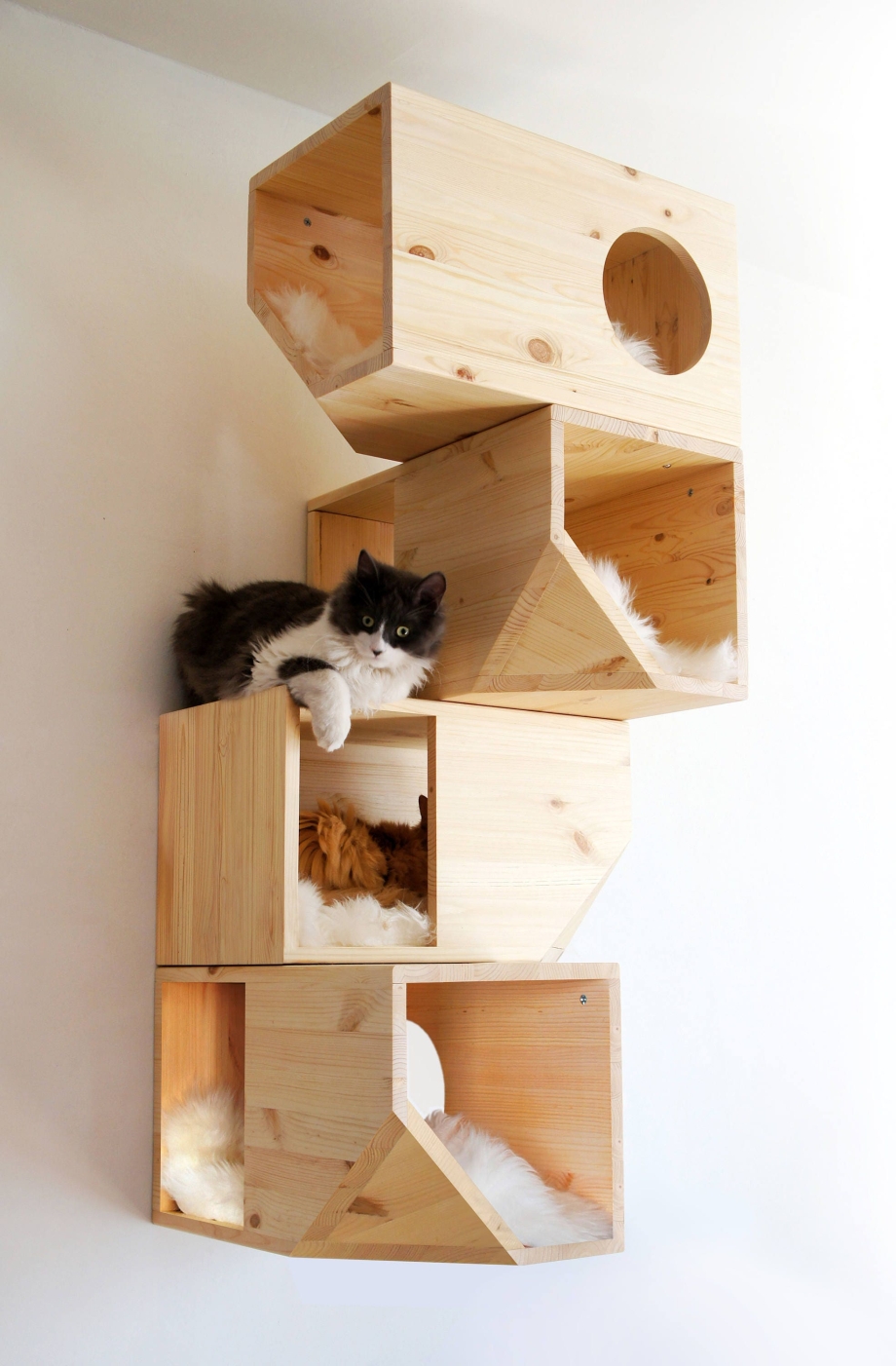 Кошачий дом catissa