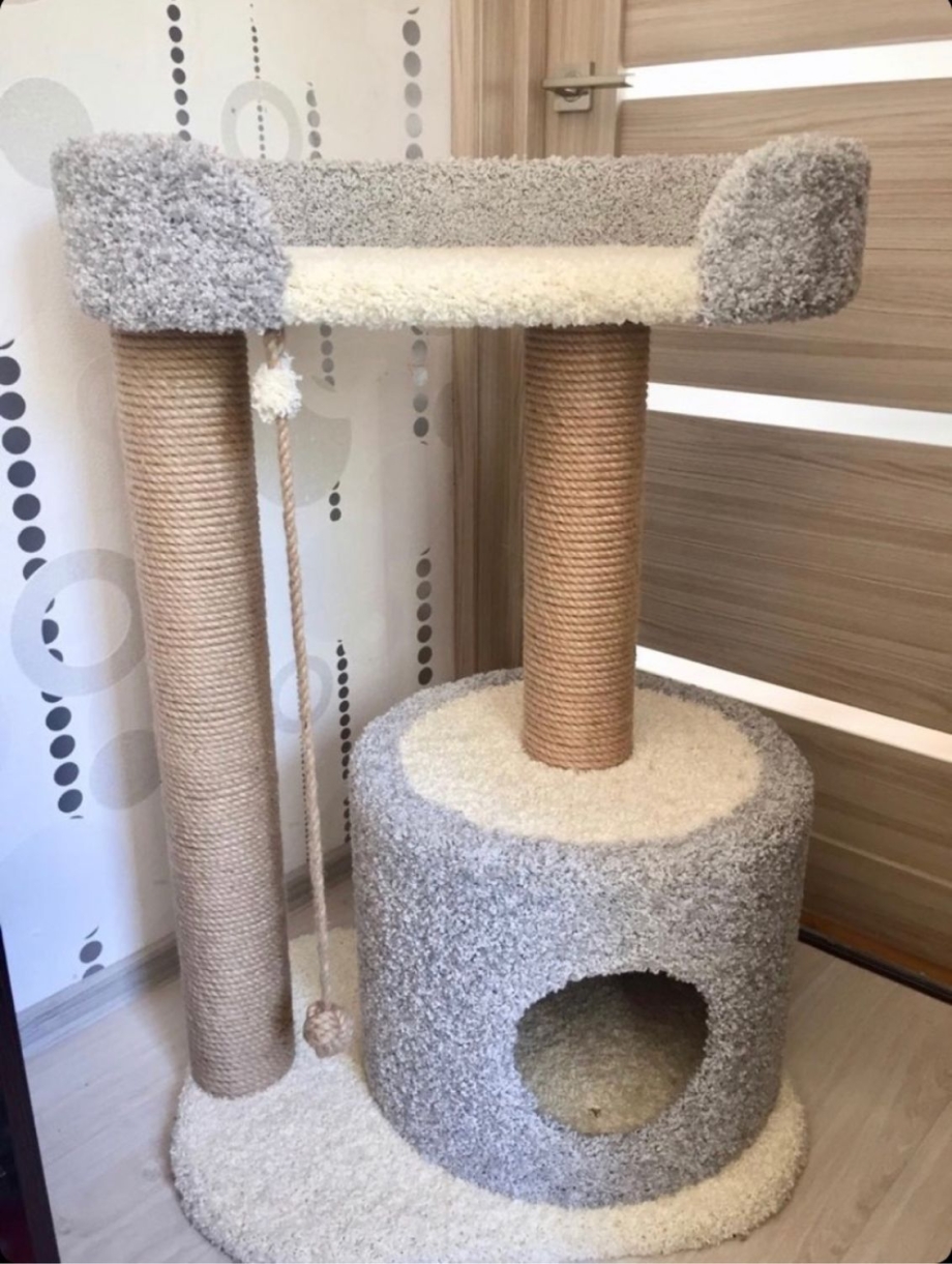 Кошачья когтеточка