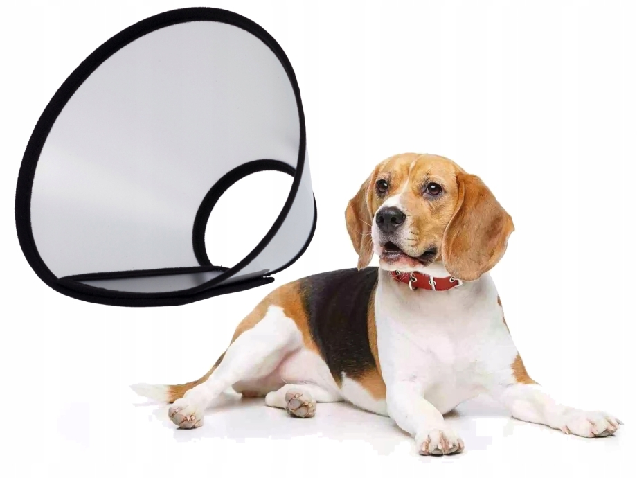 Защитный воротник dogcare