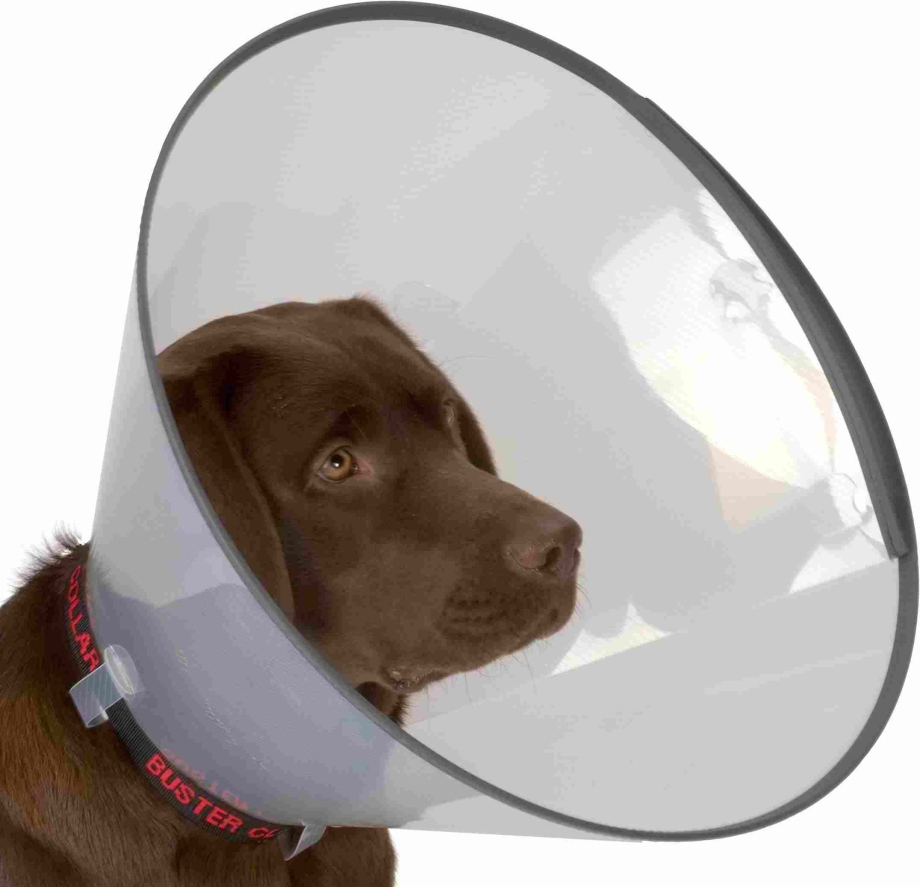Защитный воротник Kruuse Buster clic Collar 15 см