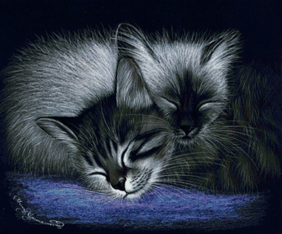 Котенок лежит