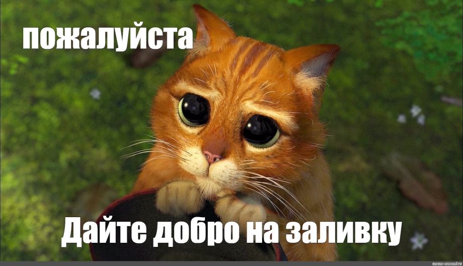 Прости пожалуйста Мем
