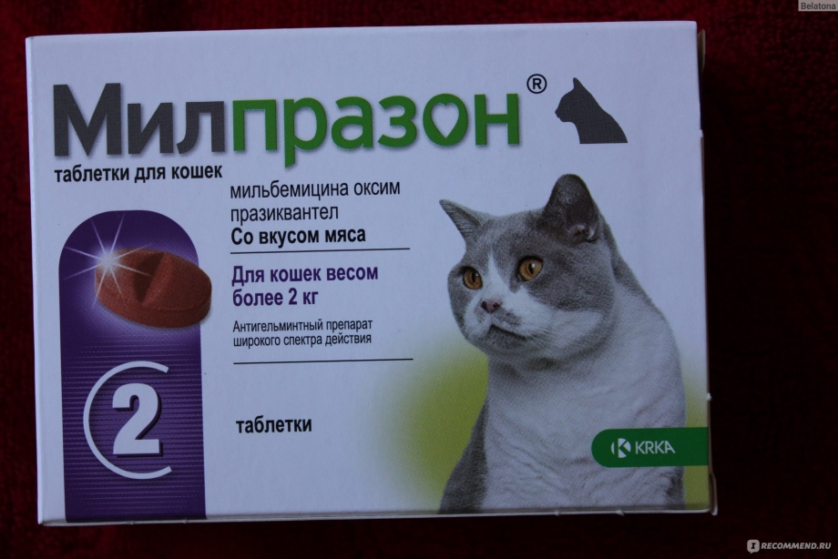 Препараты для кошки от диареи