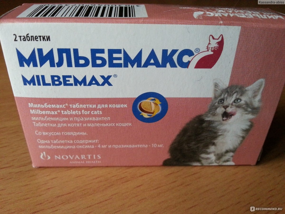 Лекарство от глистов для кошек Мильбемакс