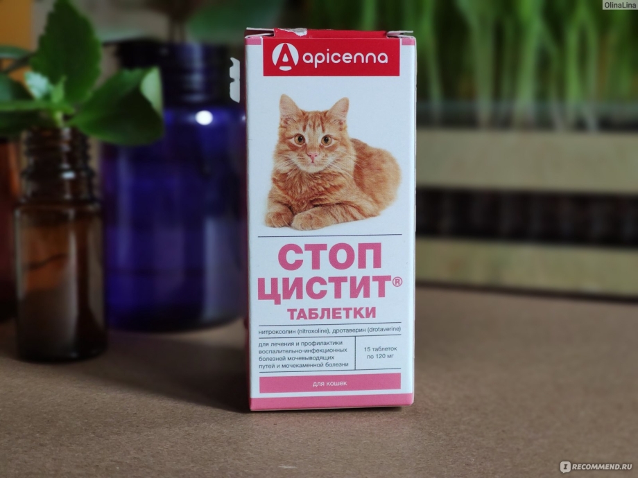 Стоп-цистит таблетки д/кошек 15шт