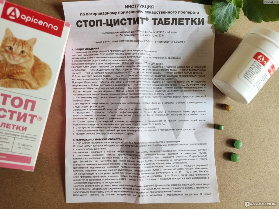 Лекарство от цистита коту