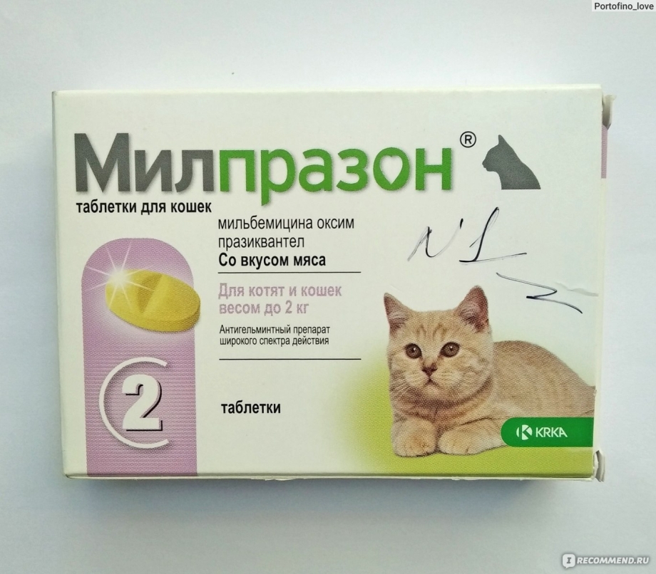 Таблетки от глистов для кошек у кошек