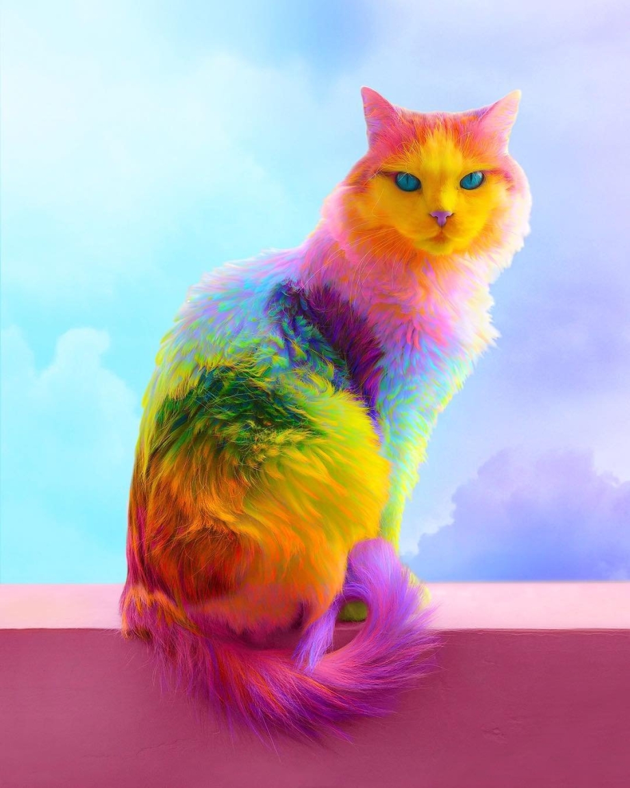 Радужные кофты