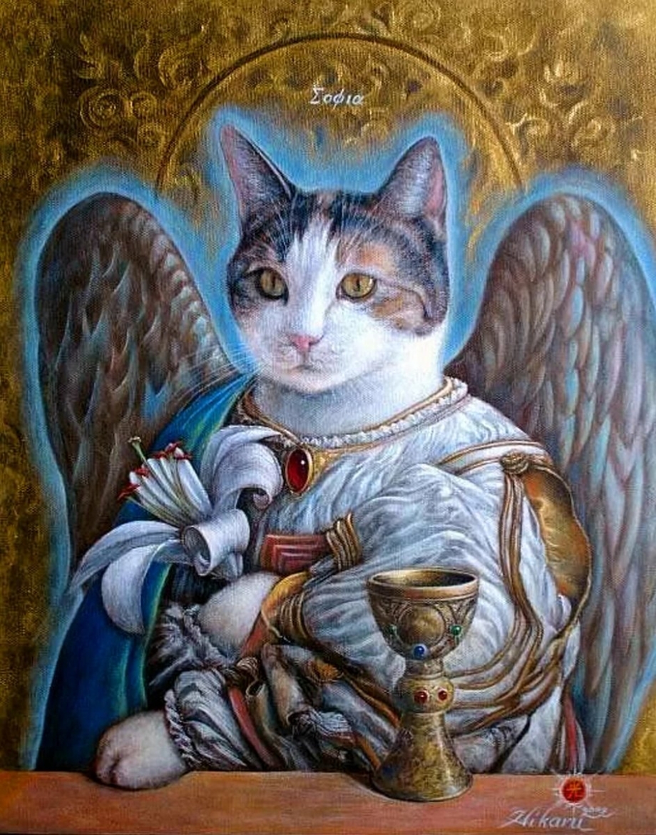 Кошки Токухиро кавай.