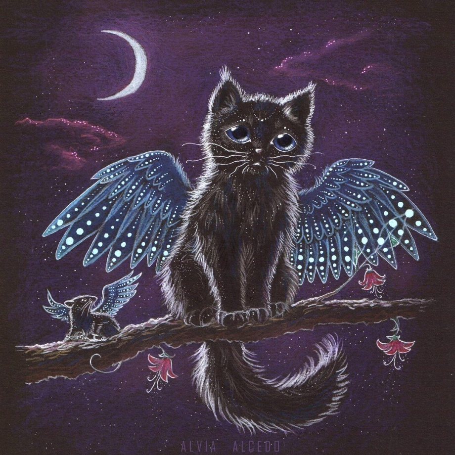 Кошка ангел
